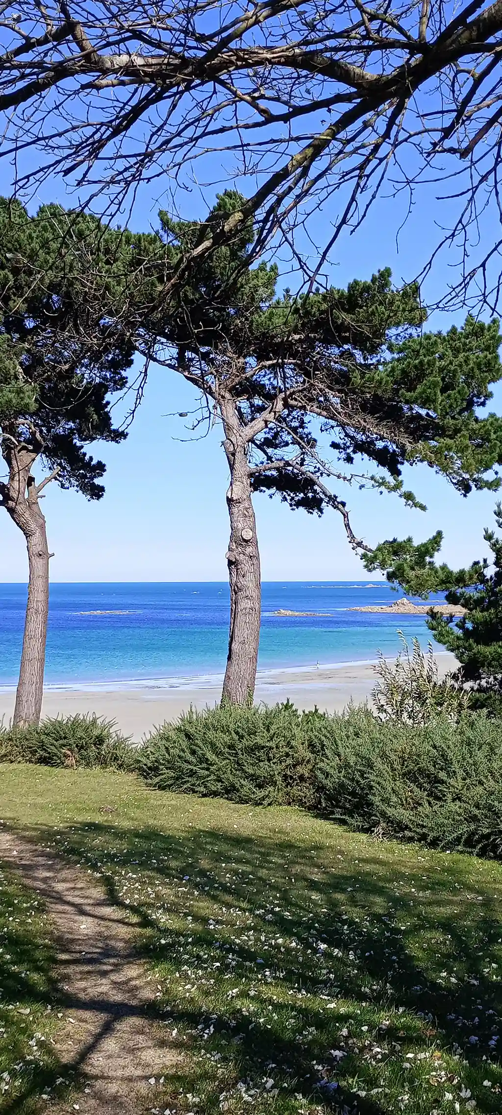 sommeil à Trestel avec les sapins